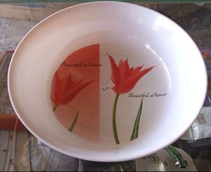 6 Bowl/ Floral Printed Bowl