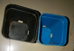 seed and Plant starter plastic pot