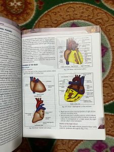 Manipal Manual of Anatomy