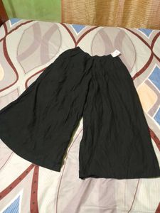 Palazzo Pants