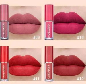 Party Wear Lipstick Mate Long Lasting