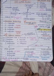 2nd Year Whole Antimicrobial Notes Pharmacology