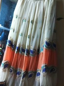Elegant Embroidered Ethnic Skirt