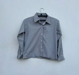 Lining Crop Shirt