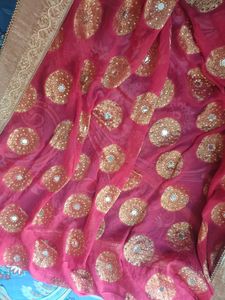 Red &amp; Gold Embellished Saree