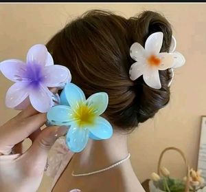 Flower Clutchers- Aesthetic Korean Clutchers