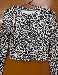 Urbanic Leopard New Crop Top