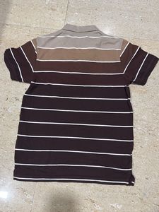 Striped Polo Shirt