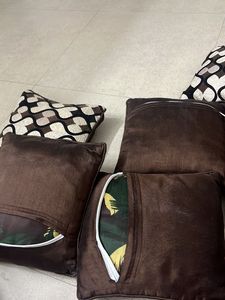 Cushion Pillows For Sofa