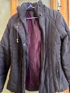 Van Heusen Wine Padded Jacket