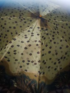 Beautiful Umbrella