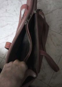Baggit Handbag