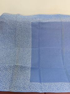 Sky Blue Saree