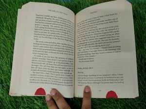 Girl on The Train Novel