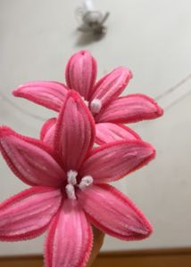 Pink Lily 💗