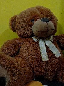 Brown Teddy Bear