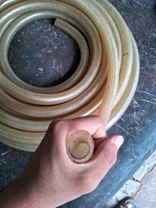 White Bradied Pipe