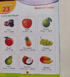 48 Pgs English Pre- Primer Textbook