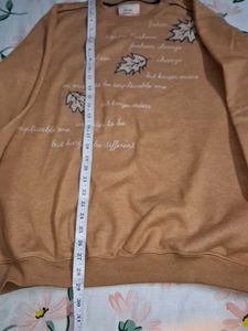 Stylish Tan Pullover Sweater