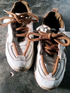 White & Brown Casual Sneakers