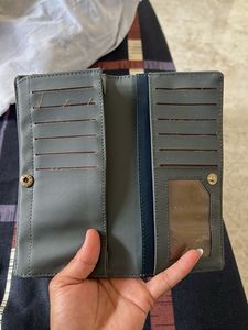 Baggit wallet