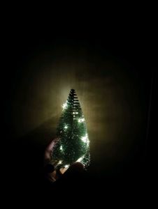 Miniature Christmas Tree✨