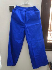 Royal Blue Pant Suit - Women's Fashion