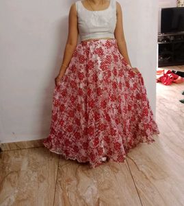 Organza Skirt And Top