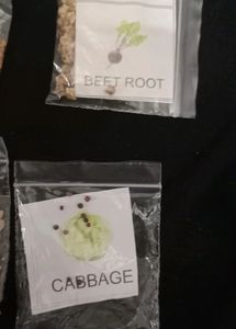 5 Vegatble Seeds