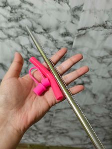 House Of Quirk StainlessSteel&amp; Plastic Straw Combo