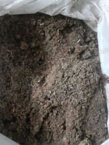 Home Made Dhoop Mix