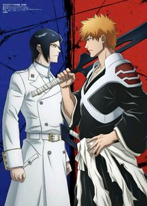BLEACH Wall Posters 10 Pieces