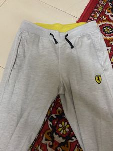 Gray Ferrari Sweatpants