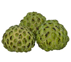 Custard Apple Seed