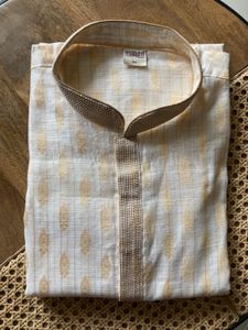 Elegant Kurta with light zari work