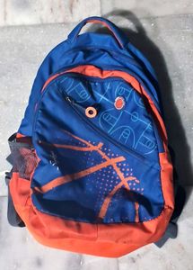 Skybags Branded Backpack 32 L