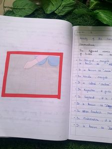 Nios 12thClass Housekeeping Practical File