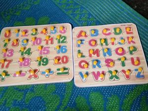 Educational Puzzle Set
