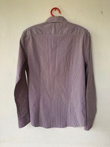 Beanpole Shirt