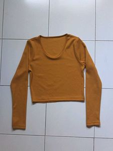 Women's Fitted Crop Top