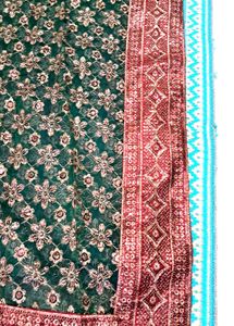 Green  Organza  Saree.