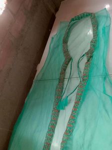 Net Lehnga