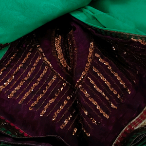 Beautiful saree in halfsaree model