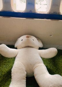 Taddy Bear Soft Toy