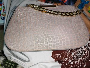 Beautiful Shimmer Bag