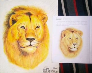 Color Pencil Sketch