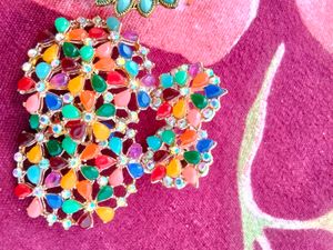 Multi Colour Earrings