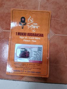 1 Face Mukhi Original Rudraksha Shiv G
