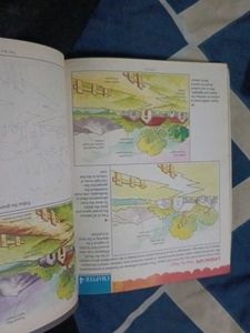 Combo Of4 Books