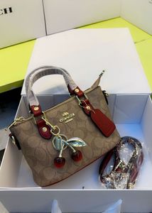 Coach Mini Handbag- Top Notch Quality